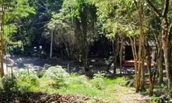 Imagem 4: Lote em Rua Madeira - Granja Carneiro Viana - Cotia/SP