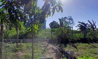 Imagem 3: Mini Chácara Chácara com venda por R$45.000