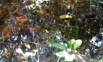 Imagem 2: Lote com água Terreno / lote com venda por R$55.000