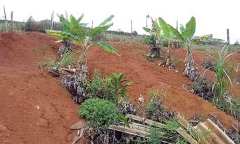 Imagem 3: Vendo casa 4 quartos 35.000,00