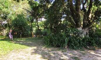 Imagem 7: Sitio - vale das Pedrinhas - Guapimirim