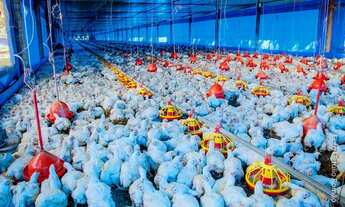 Imagem 6: INCRA 7 - GRANJA, Brazlandia, montada funcionado