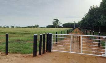 Imagem 3: Chácaras em balsamo.20.000 metros, cada
