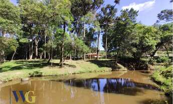 Imagem: Chácara para Venda em Balsa Nova, Rodeio