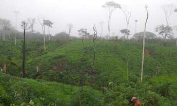 Imagem 2: Terra Fazenda / sítio com venda por R$850.000