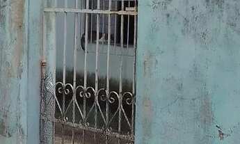 Imagem 2: Vende-se casa no Rosa Elze