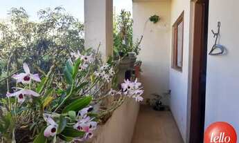 Imagem 5: São Paulo - Casa Padrão - Santa Ines