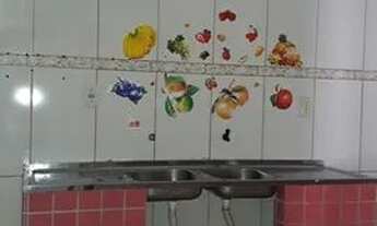 Imagem 2: Casa com 2 quarto impecavel Berimbau