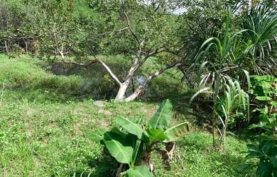 Imagem 4: VENDE CHÁCARA CIDADE RAPOSA MARANHÃO