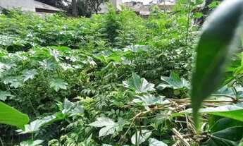 Imagem 6: Terreno na Vila Guaíra 472,50 m2 10,50 x 45,00 ZR-3