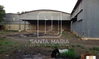 Imagem 7: Salão/Galpão (outros