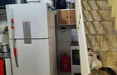 Imagem 4: Excelente casa em Benfica