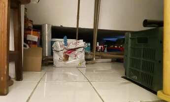 Imagem 6: Cobertura no Centro de Florianópolis