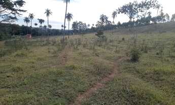 Imagem 4: CHACARA DE 5.000 M2 IGARAPÉ PRÓXIMO A SADA