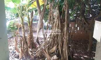 Imagem 7: Casa para aluguel, 3 quartos, 1 suíte, 2 vagas, Tubalina - Uberlândia/MG