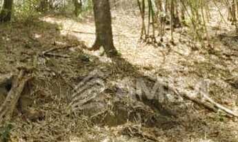 Imagem 2: Terreno à venda, 202000 m² por R$ 1.850.000,00 - Vila Progresso - Niterói/RJ