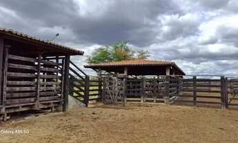 Imagem 7: FAZENDA EM LAJEDINHO - 4000 TAREFAS