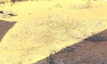 Imagem 4: Casa Para Vender com 02 quartos no bairro Bom Jardim em Igarapé