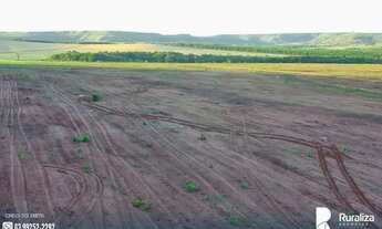 Imagem 6: Fazenda à venda em Prata-MG excelente para cultivo de laranja