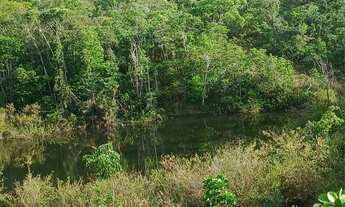 Imagem 7: Vendo chácara em jaraguá Góias aceito propostas pego carro também