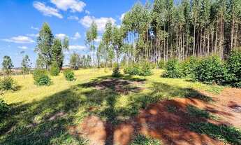 Imagem 2: CHÁCARA EXCLUSIVA À VENDA EM BONFINÓPOLIS - GO ? 20.000 m²