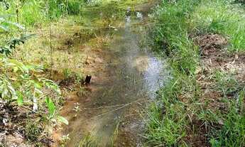 Imagem 6: Fazenda de Lavoura 46 Alqueires!