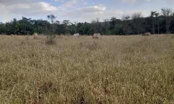 Imagem 2: Chácara para venda 6 alqueires em Zona Rural - Anicuns - GO