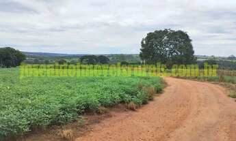 Imagem: Fazenda 20,0 alqueires em soja, ribeirão