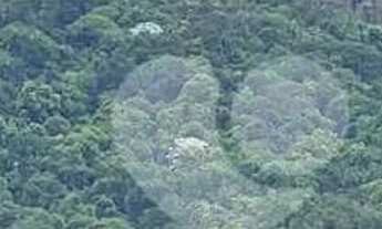 Imagem 6: Apartamento - Equitativa - 2 quartos - vaga - R$ 325.000 - Santa Teresa - Rio de Janeiro/R