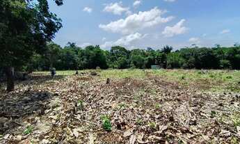 Imagem 4: Terreno ideal para sítio na estrada de Balbina km 24 comunidade São Francisco de Assis