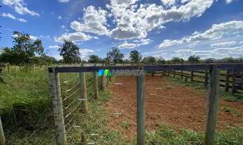 Imagem 6: FAZENDA À VENDA - 166 HECTARES - REGIÃO DE CURVELO (MG