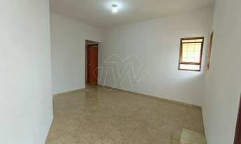 Imagem 5: Locação de Casas / Padrão na cidade de Araraquara