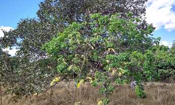 Imagem 4: 11.000 M2 BR 135 Acesso ao Pentáurea