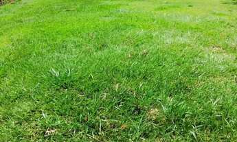 Imagem 2: Terreno à venda em Campinas, Parque Xangrilá, com 522 m², Parque Xangrilá