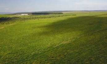 Imagem: Fazenda extra no Goiás