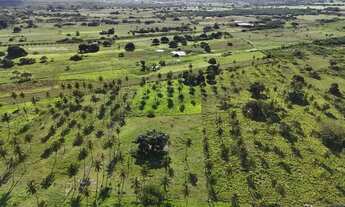 Imagem 5: Fazenda com 50 hectares na região de São Gonçalo do Amarante cortada pelo rio Potengi