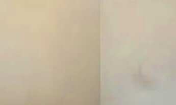 Imagem 3: CASA TÉRREA - VILA PAPELÃO - SP