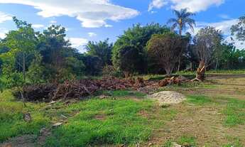 Imagem 4: Terreno com casinha simples