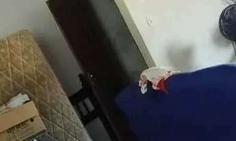 Imagem 7: Vendo Casa na Divineia com ponto Comercial