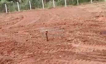 Imagem 4: Terreno no bairro Estância Jockey Clube