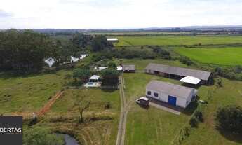 Imagem 3: Sítio 1 dormitórios à venda Pedreira Nova Santa Rita/RS