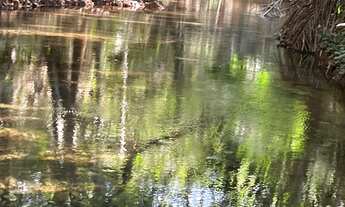 Imagem 3: Oportunidade única em Chapada dos Guimarães
