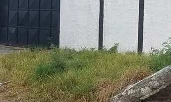 Imagem: AREA DUTRA - LORENA - 4000 M2 - PROX DIVISA