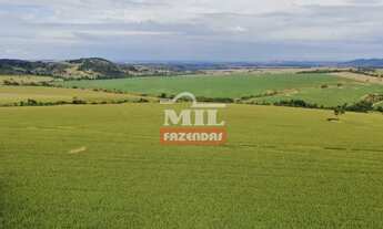 Imagem 5: Fazenda em Avelinopólis-GO (32 alqueires
