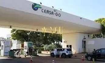 Imagem 4: Ampla Área com Gigantesco potencial, Vizinha CEASA, Tramontina, CD Novo Mundo