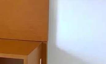 Imagem: Apartamento para aluguel tem 44 metros quadrados