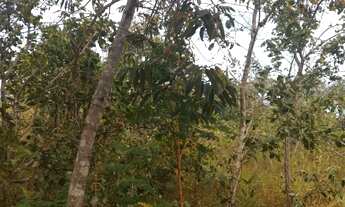 Imagem 2: Vendo chácara de mil metros quadrados em São José do Almeida próximo à Serra Do Cipó