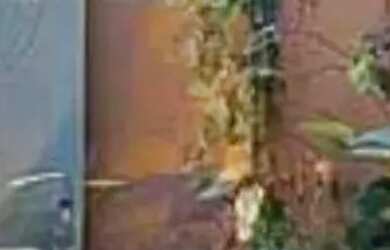 Imagem 5: SOBRADO - VILA CAIO JUNQUEIRA - MG