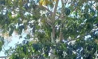 Imagem 3: Imóvel para venda tem 80 metros quadrados com 1 quarto em Setiba - Guarapari - ES