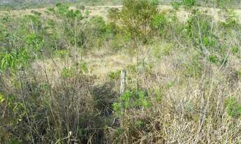 Imagem 6: Lote com água Terreno / lote com venda por R$55.000